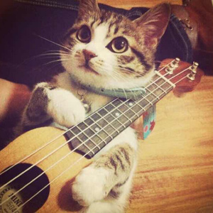 荡女妇边被C边呻吟视频
